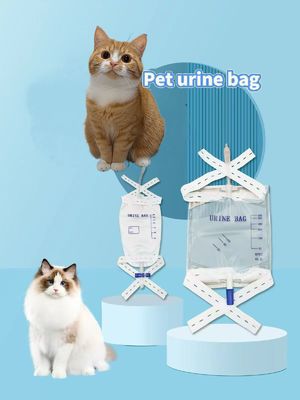 Купить Ветеринарное использование для собак и кошек. Хирургические расходные материалы. Одноразовый ПВХ катетер для мочеиспускания, включая удлинительную трубку и ремни для ветеринарии. онлайн изготовление