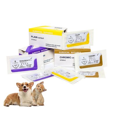 Купить Больничная хирургия Одноразовые простые кетгутовые медицинские швы с иглой PGA/pdo/шелк/нейлон/кетгут Стерильные хирургические шовные материалы онлайн изготовление