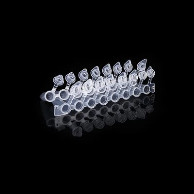Хорошая цена Купол сформировал прокладку трубки 8 PCR крышек 0.2ml с прикрепленной трубой PCR 8 крышки соединенной онлайн